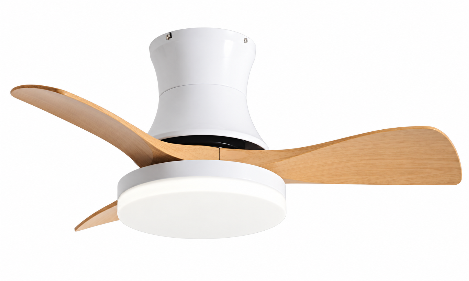 Ceiling fan