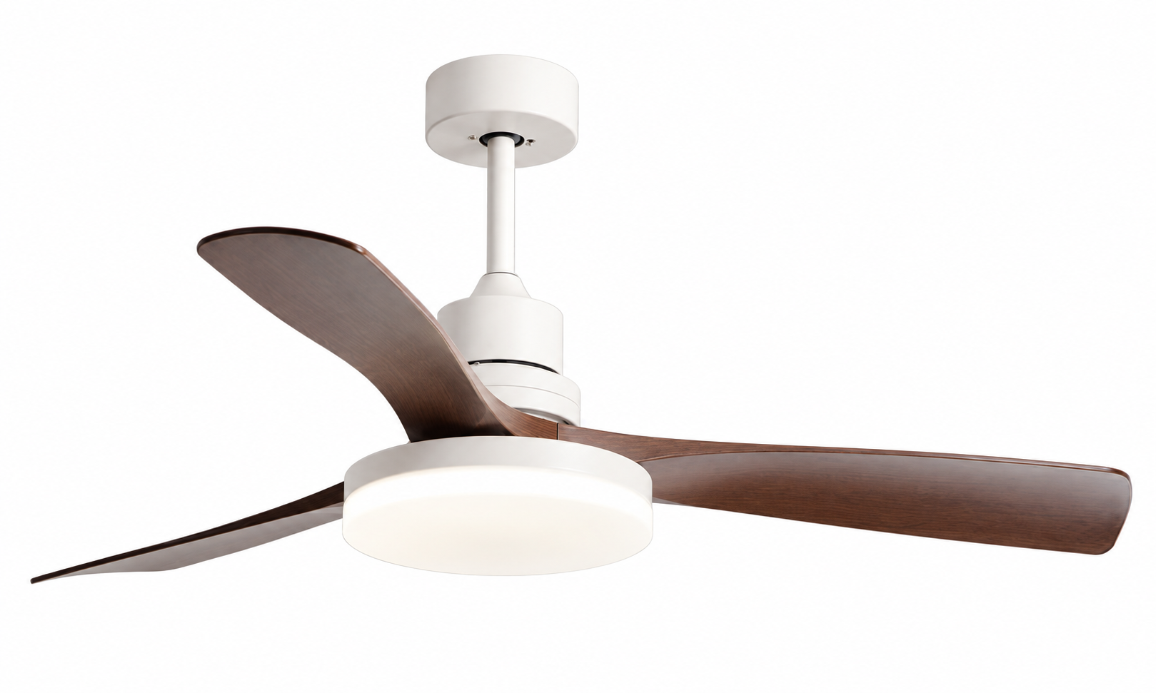 Ceiling fan