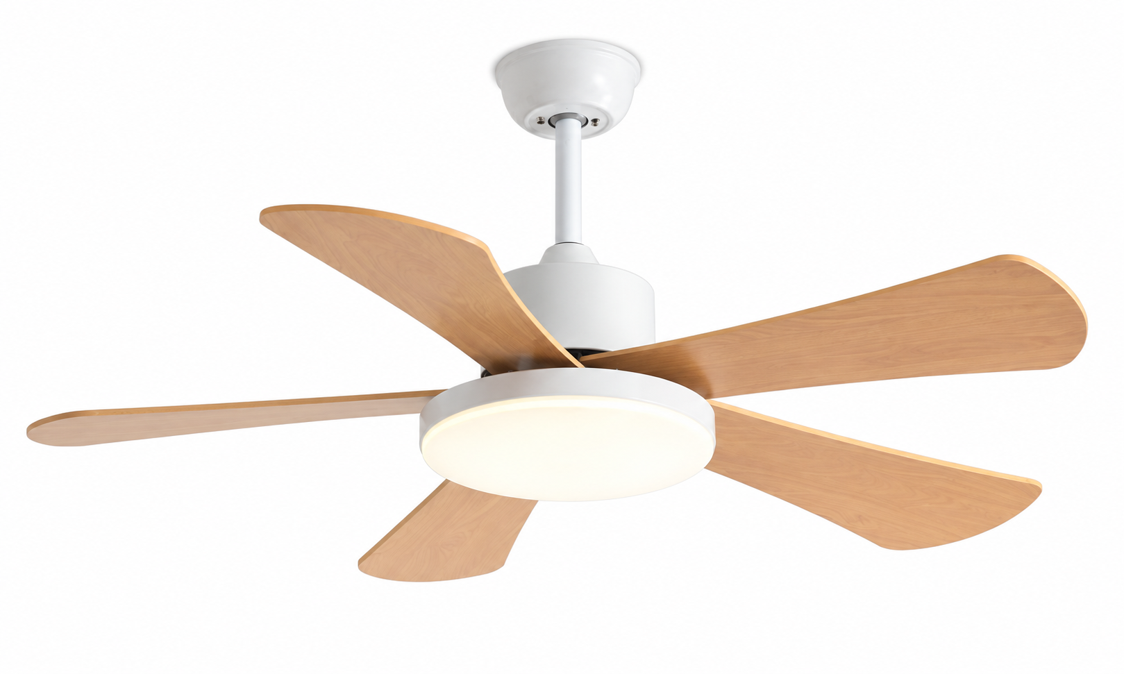 Ceiling fan