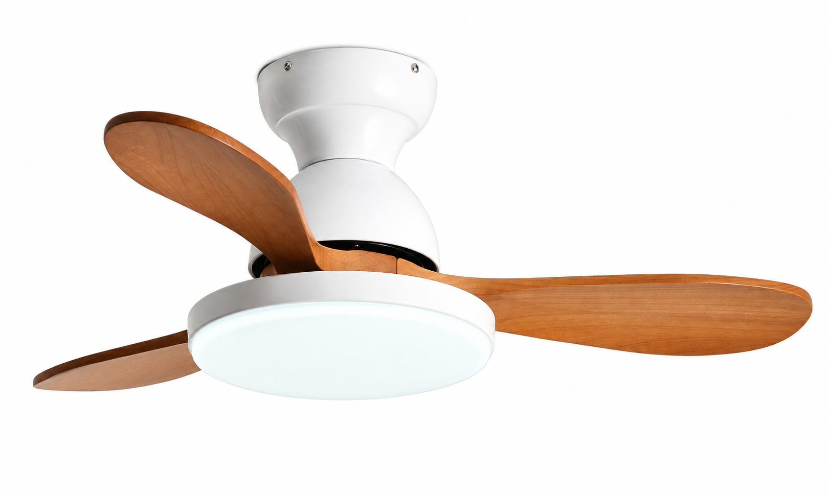 Ceiling fan