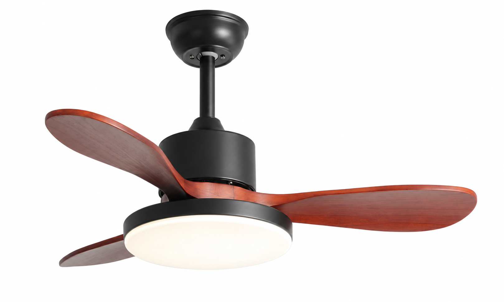 Ceiling fan