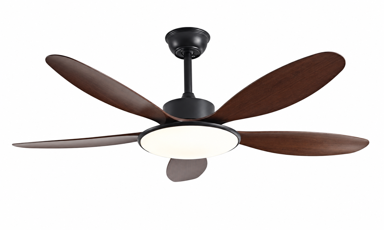 Ceiling fan