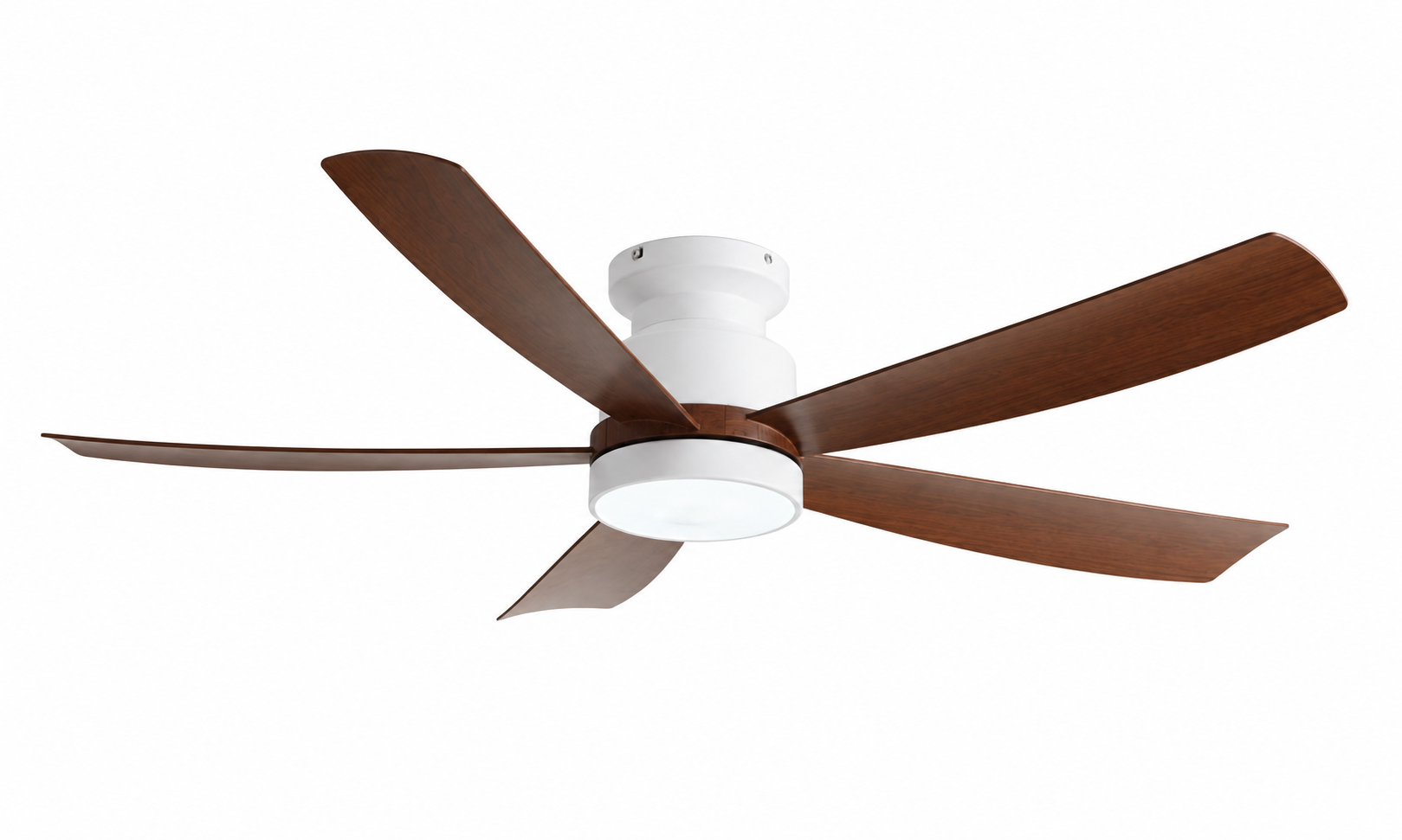 Ceiling fan