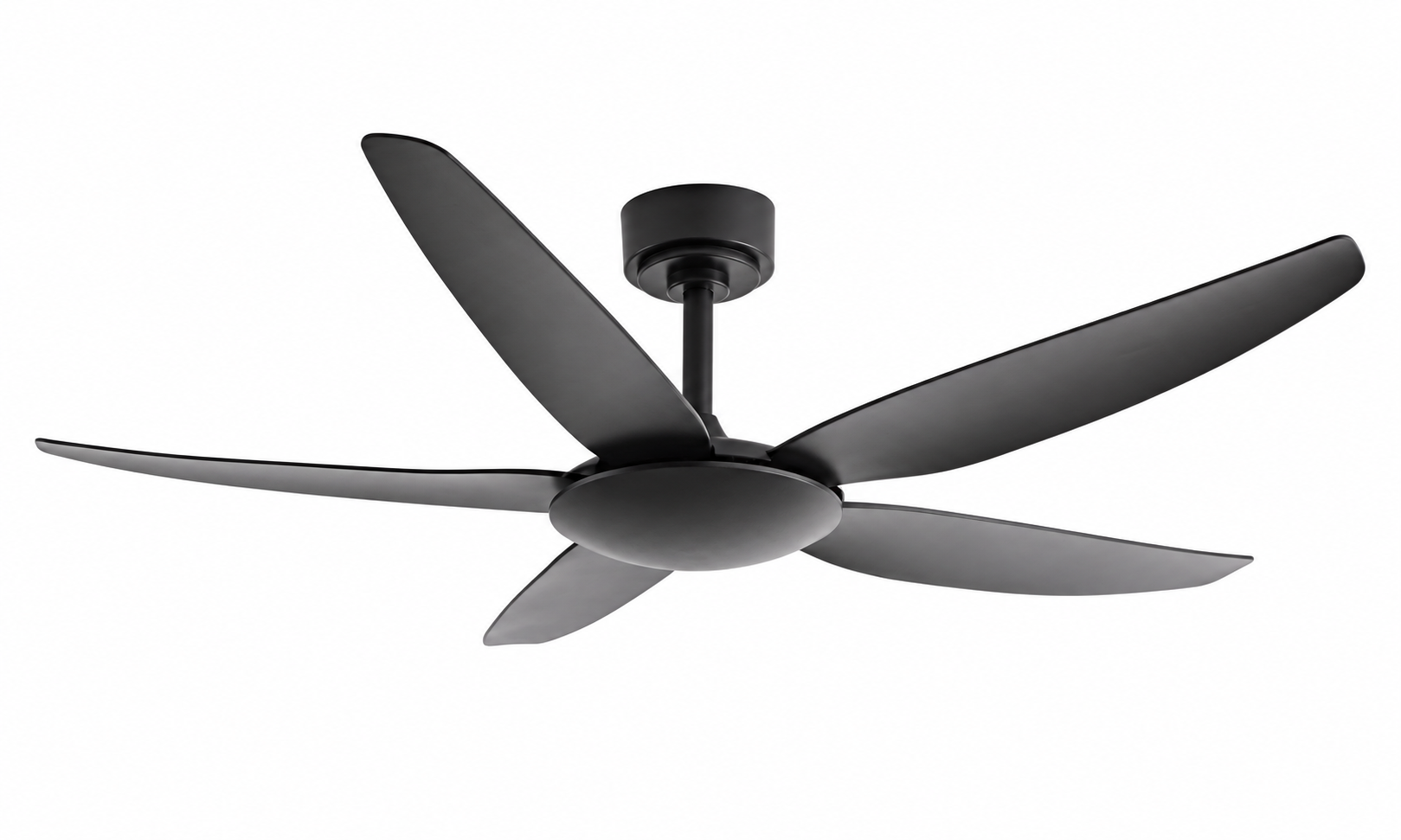 Ceiling fan