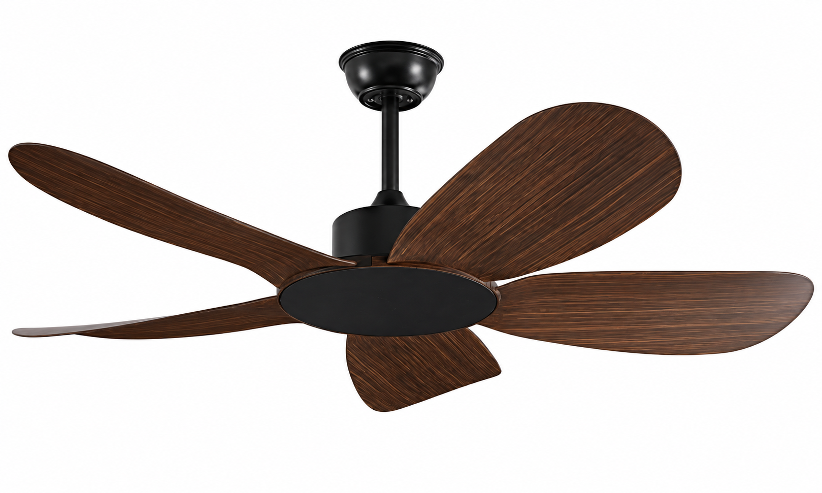 Ceiling fan