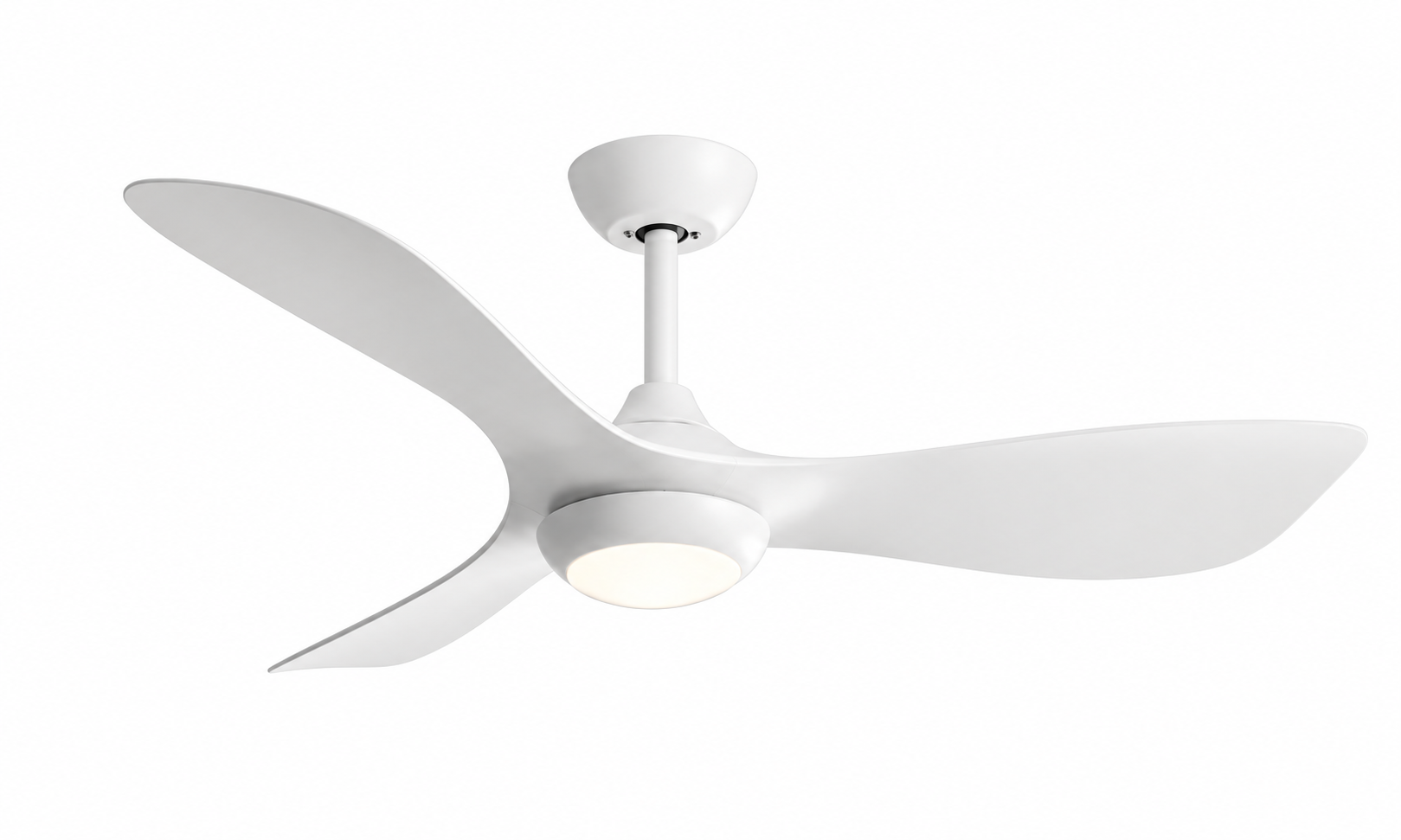 Ceiling fan