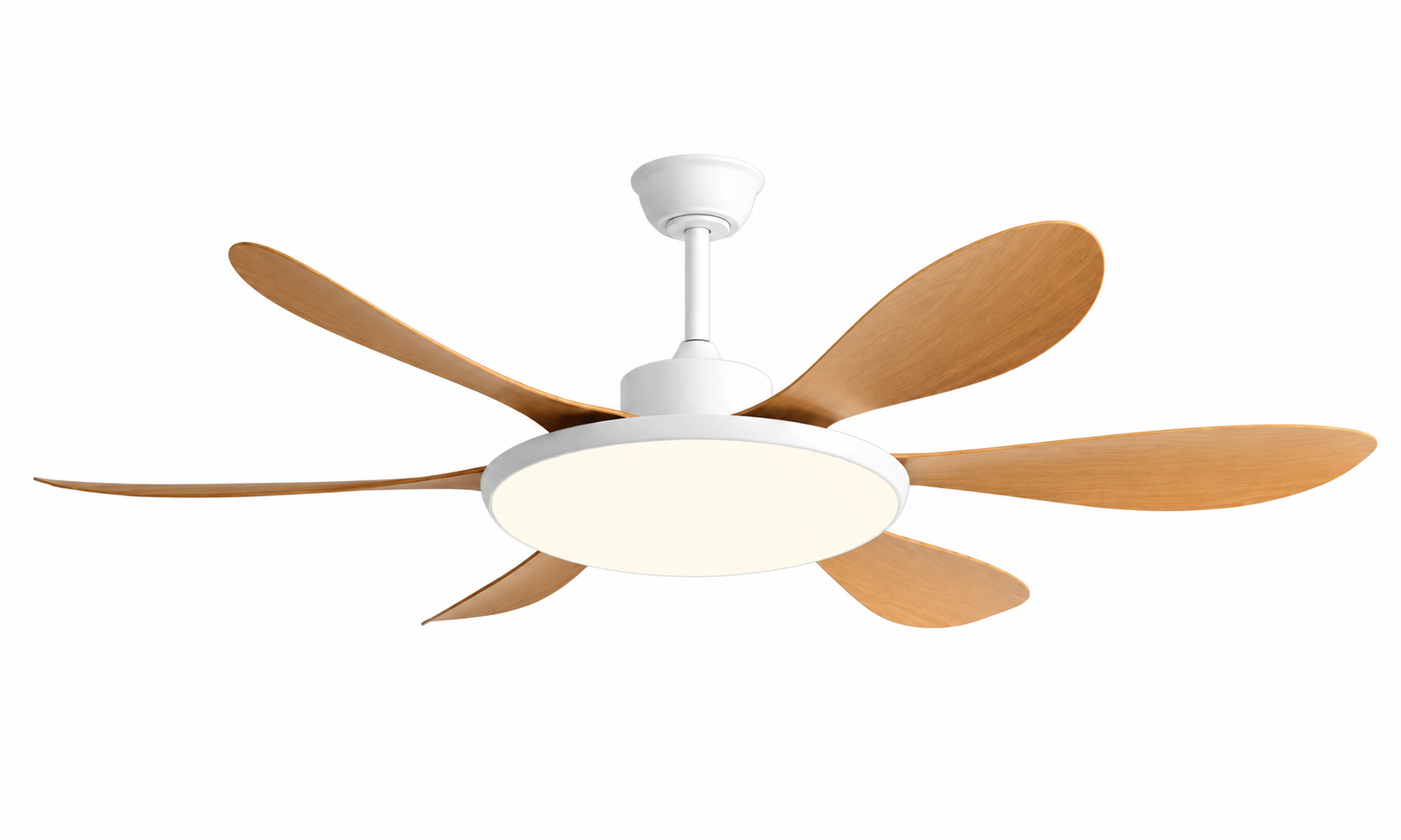 Ceiling fan