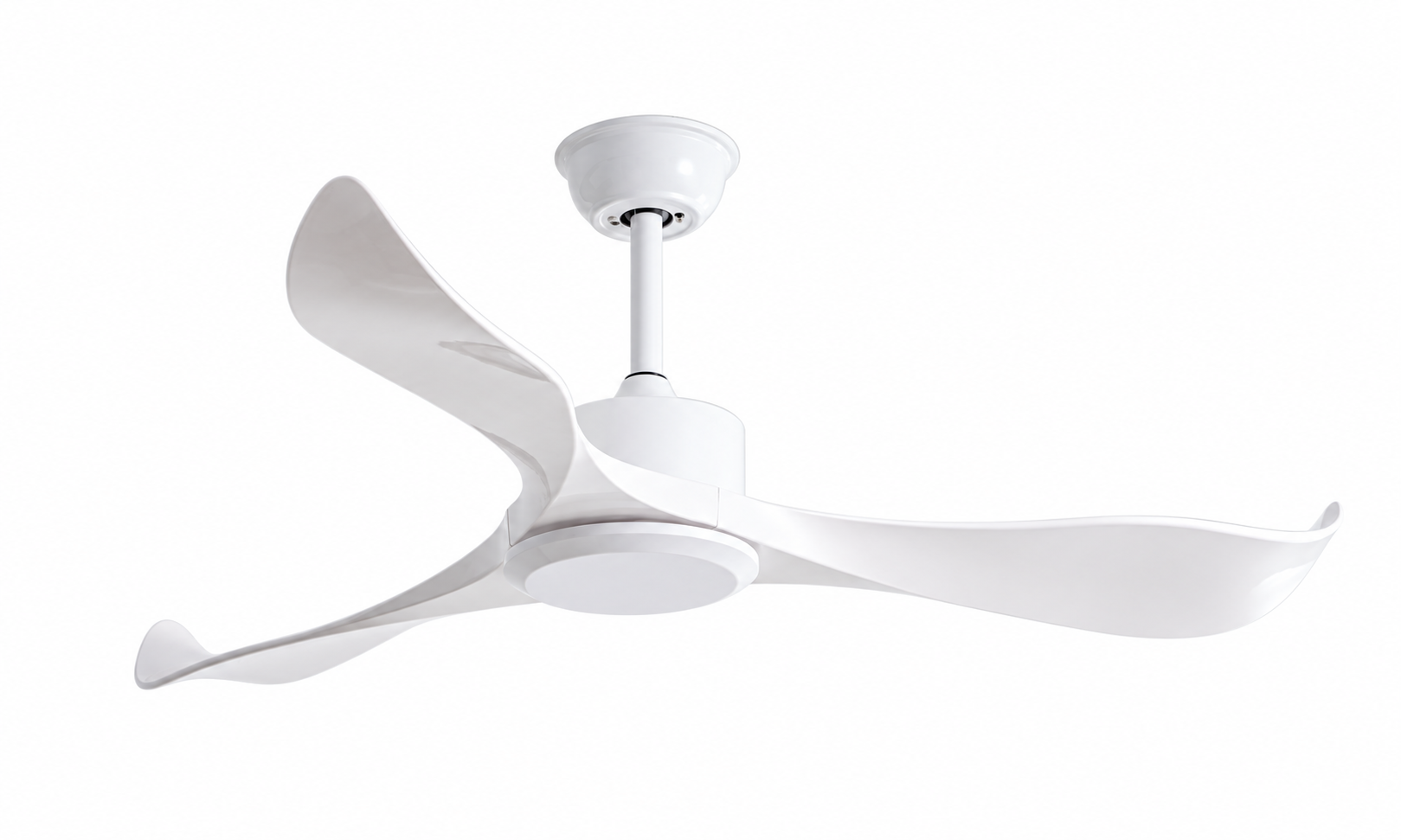 Ceiling fan