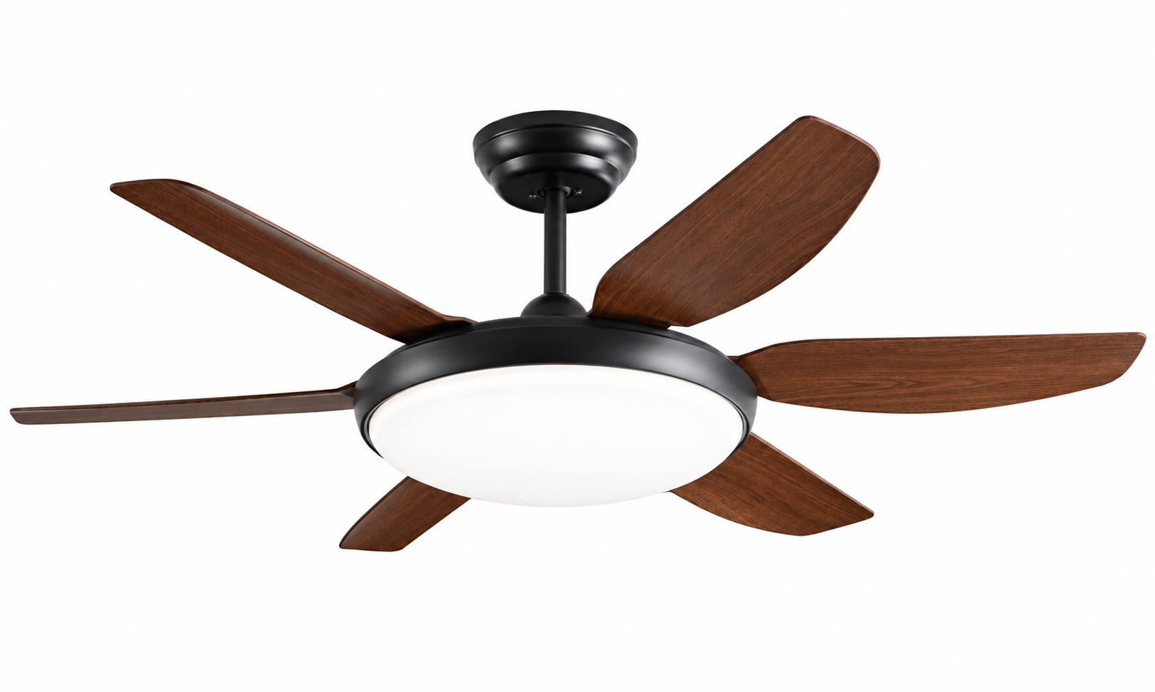 Ceiling fan
