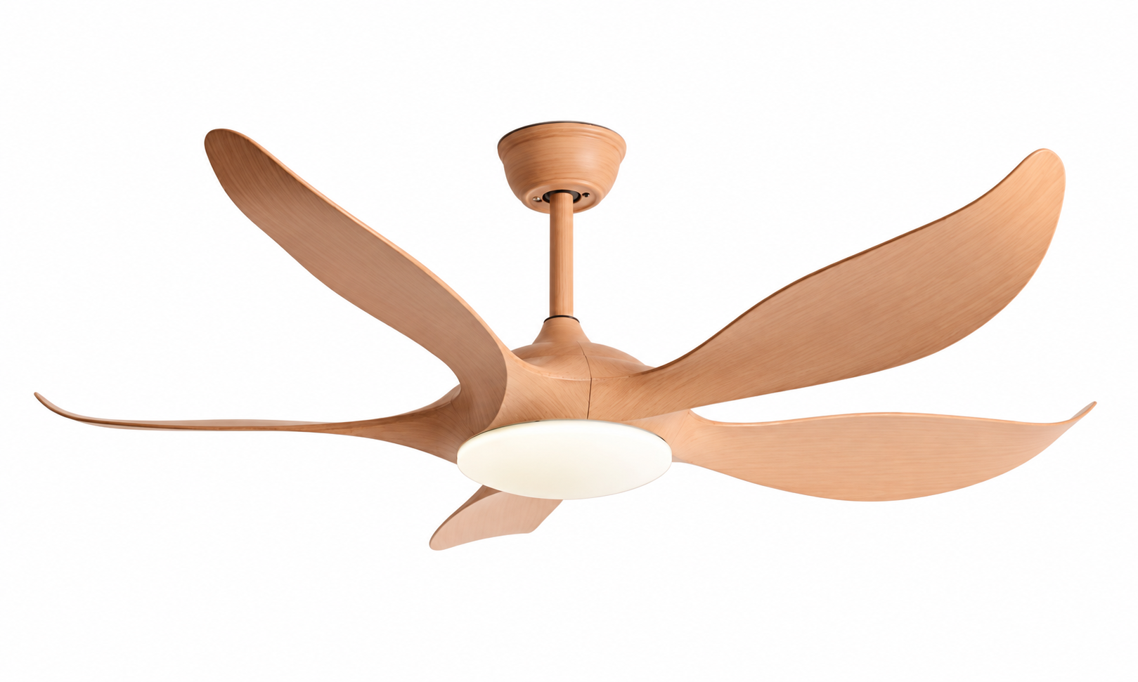 Ceiling fan