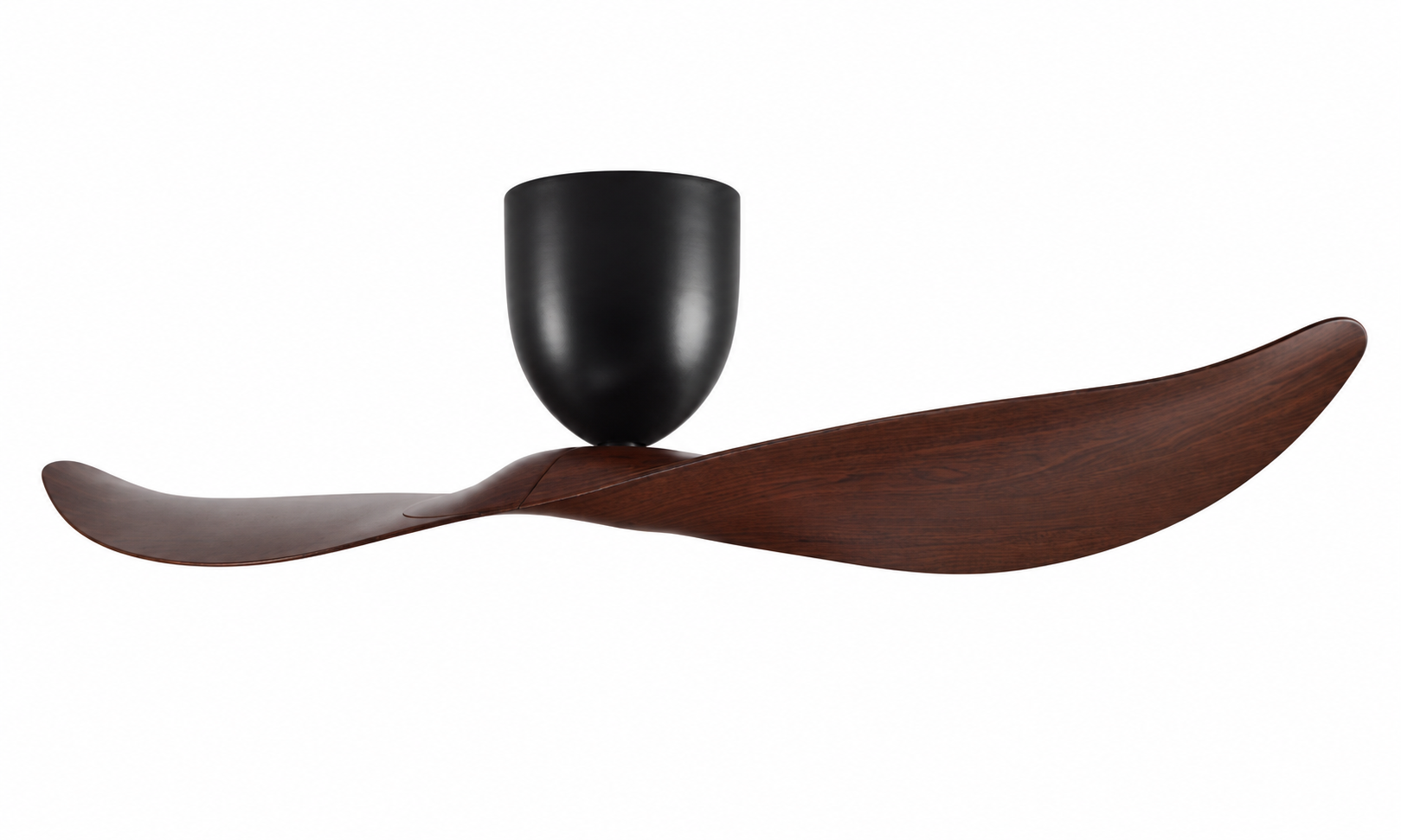 Ceiling fan