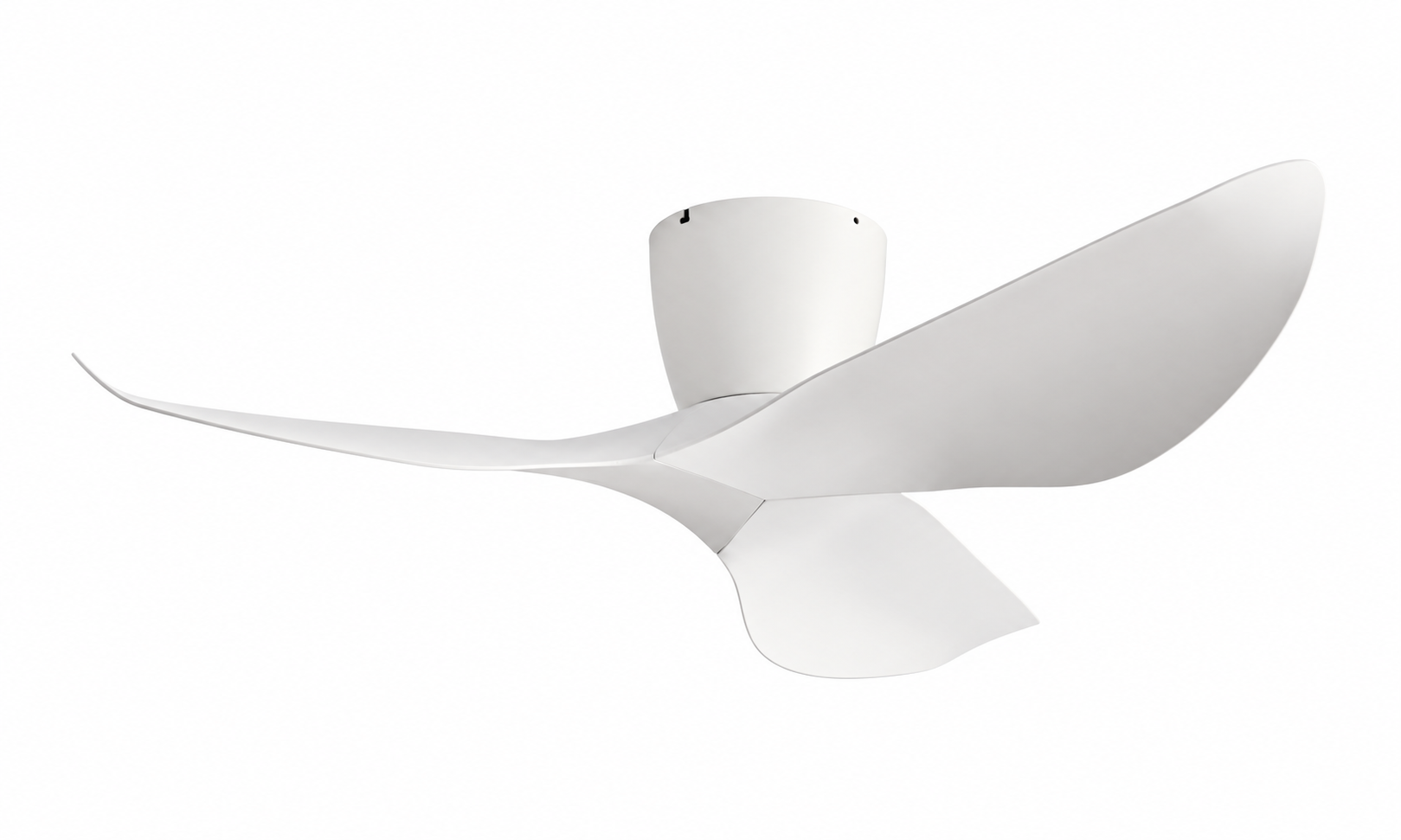Ceiling fan