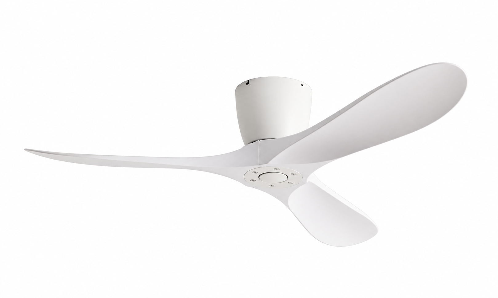 Ceiling fan