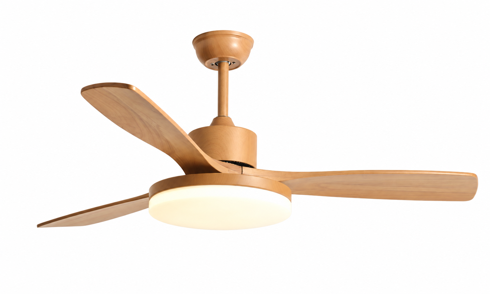 Ceiling fan