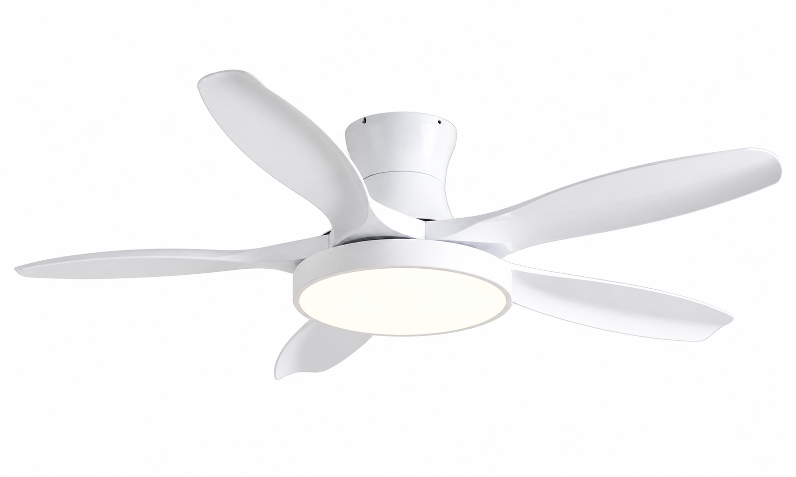 Ceiling fan
