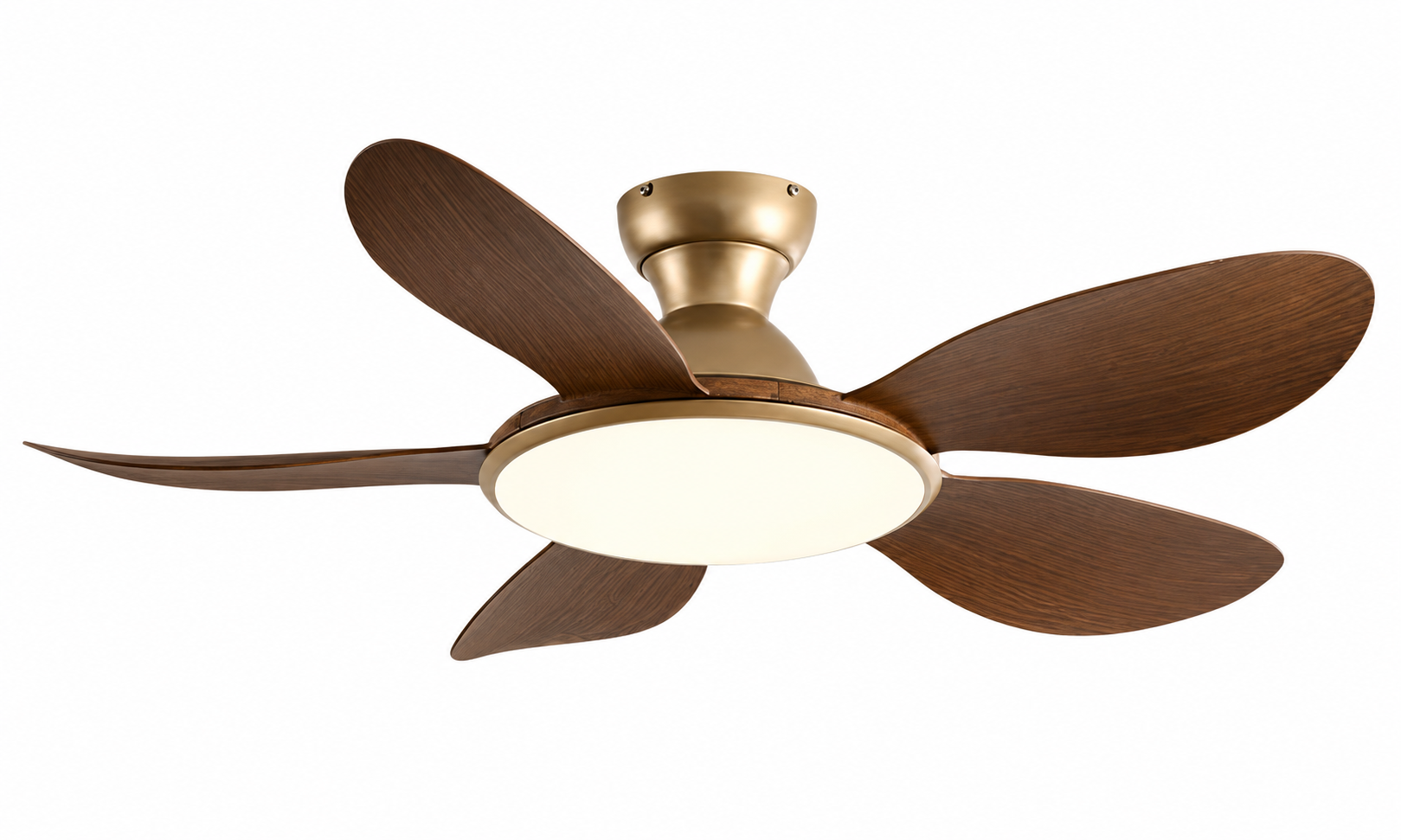 F-5520XL-5 antique bronze and walnut ceiling fan