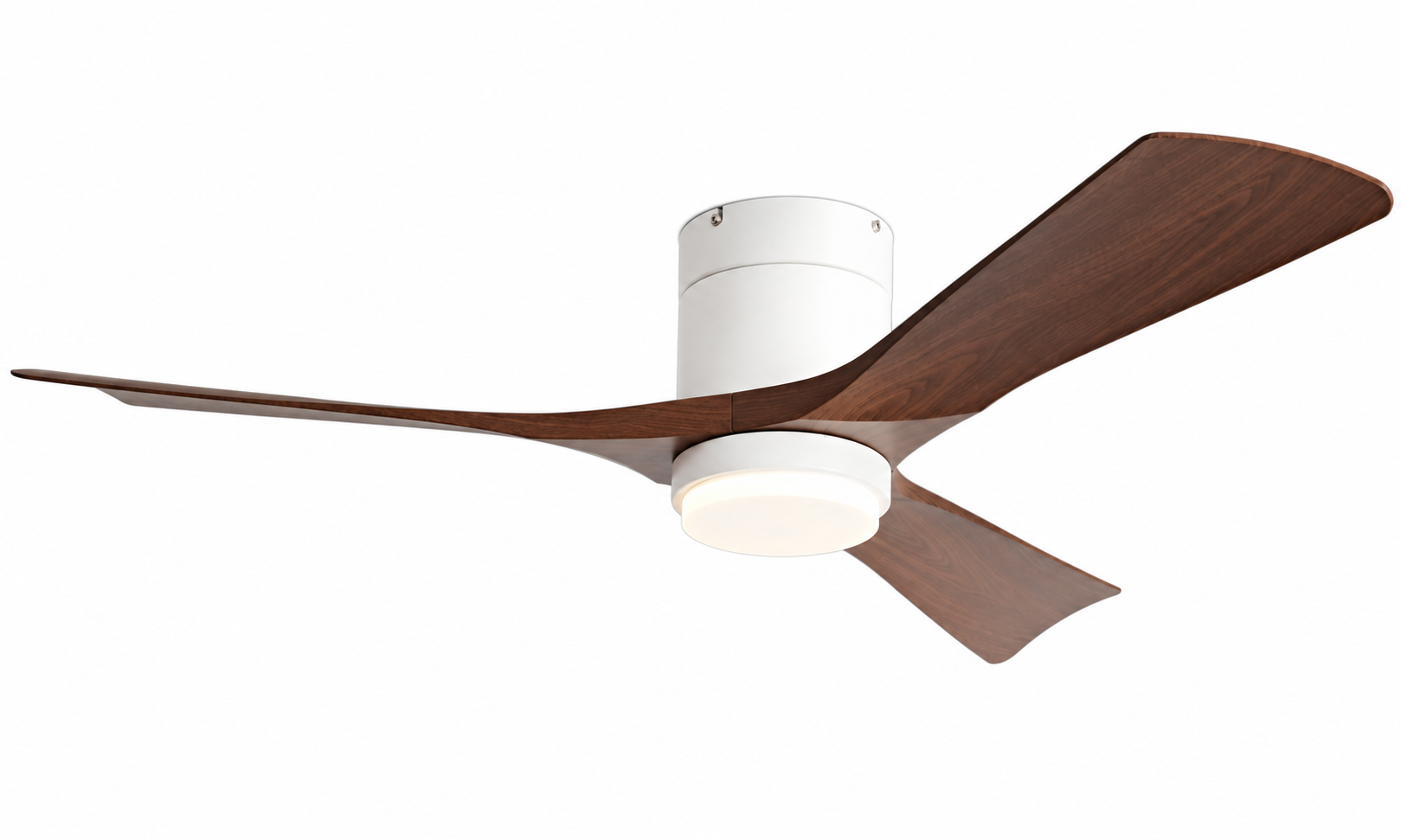 K-103XL-3 White Walnut finish