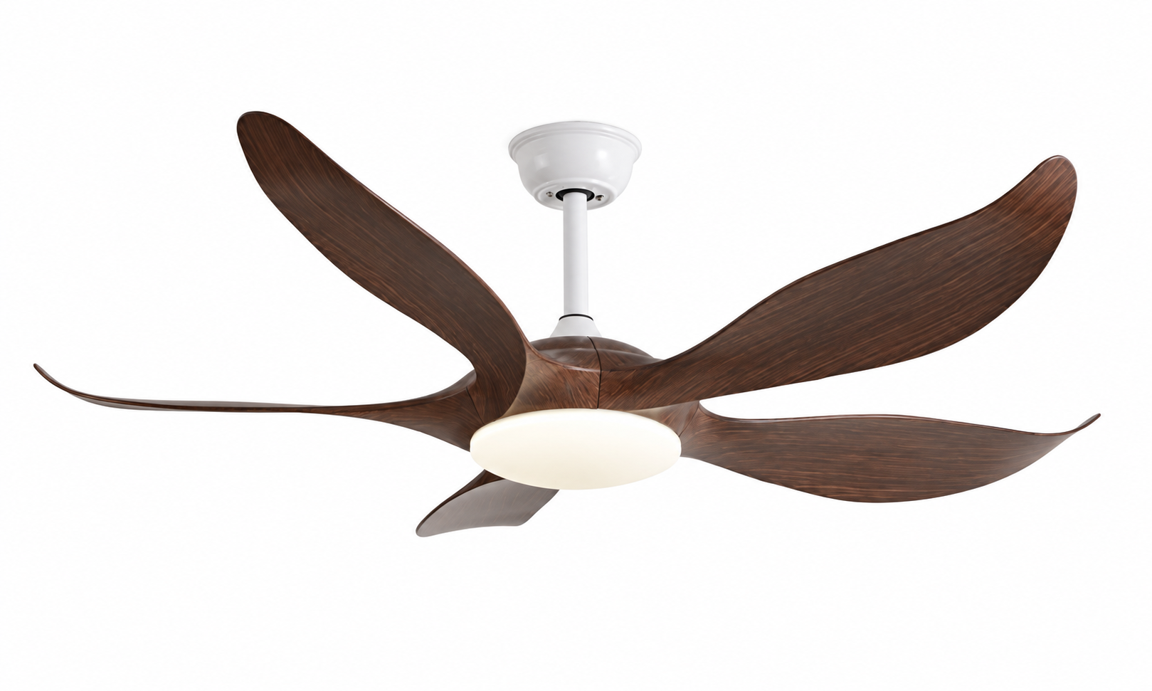 P-045L-5 White Walnut finish