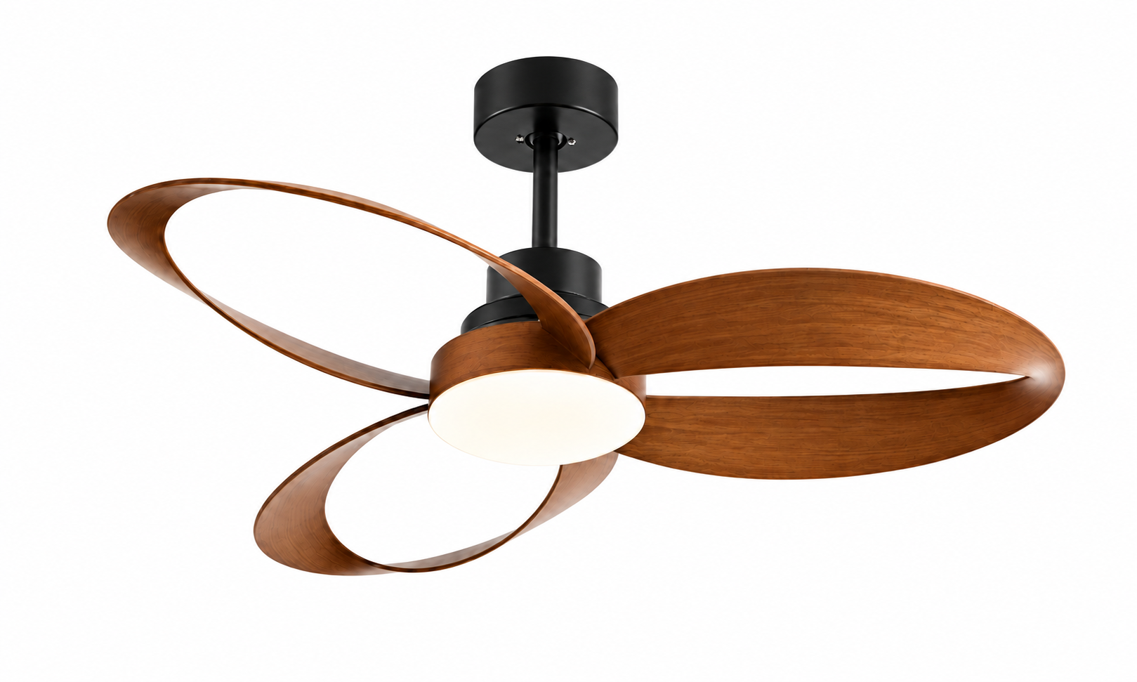 P-056-3 black and begonia wood ceiling fan