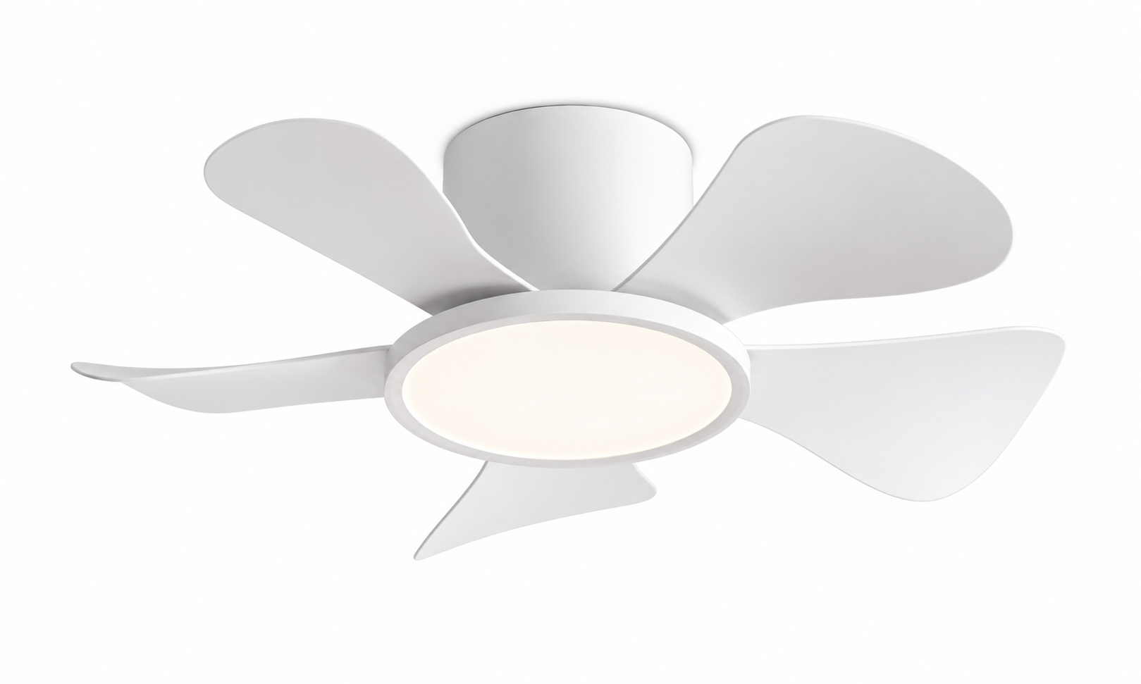 P-5002XL-5 ceiling fan with light in pure white