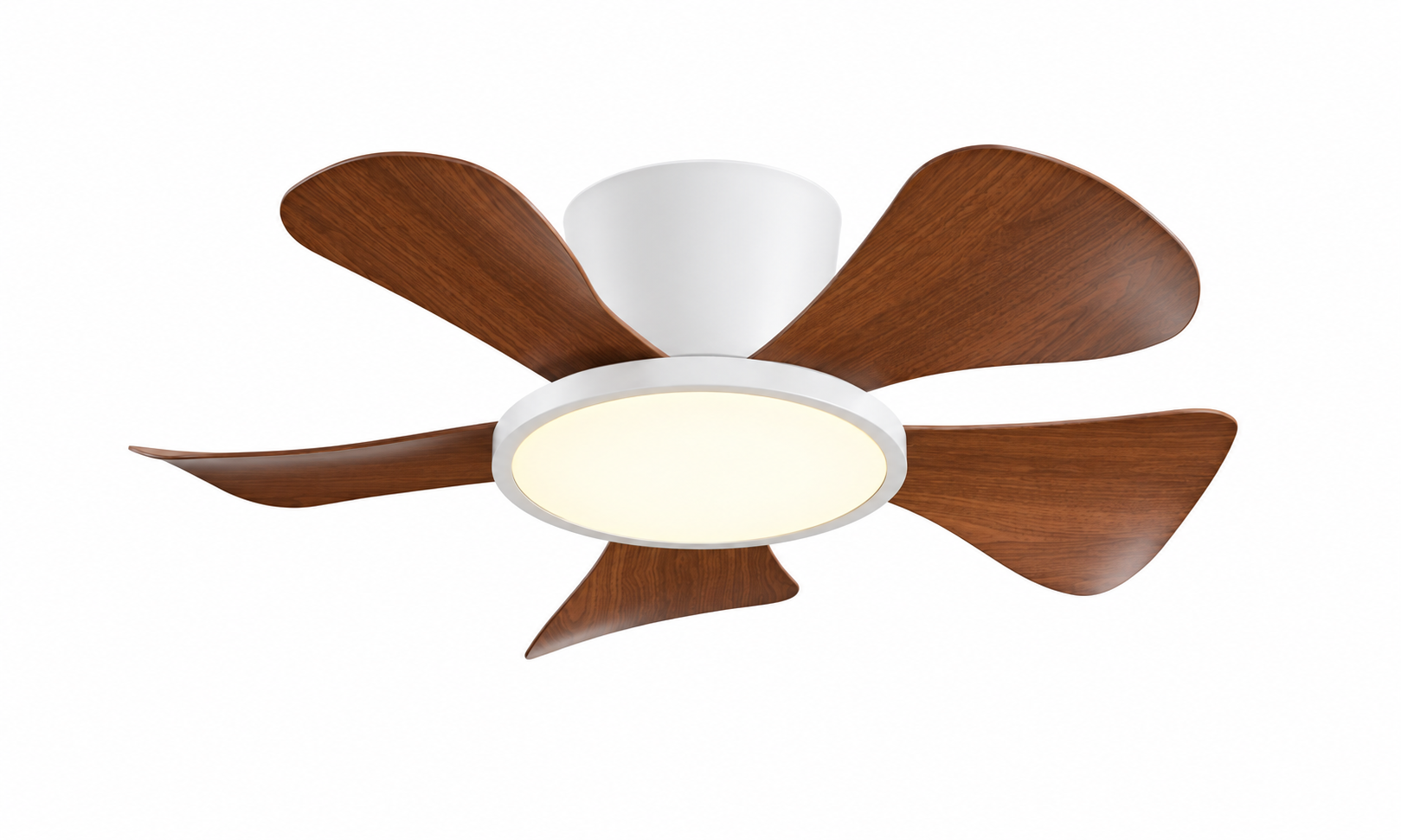 P-5002XL-5 five-blade ceiling fan with light in white and walnut