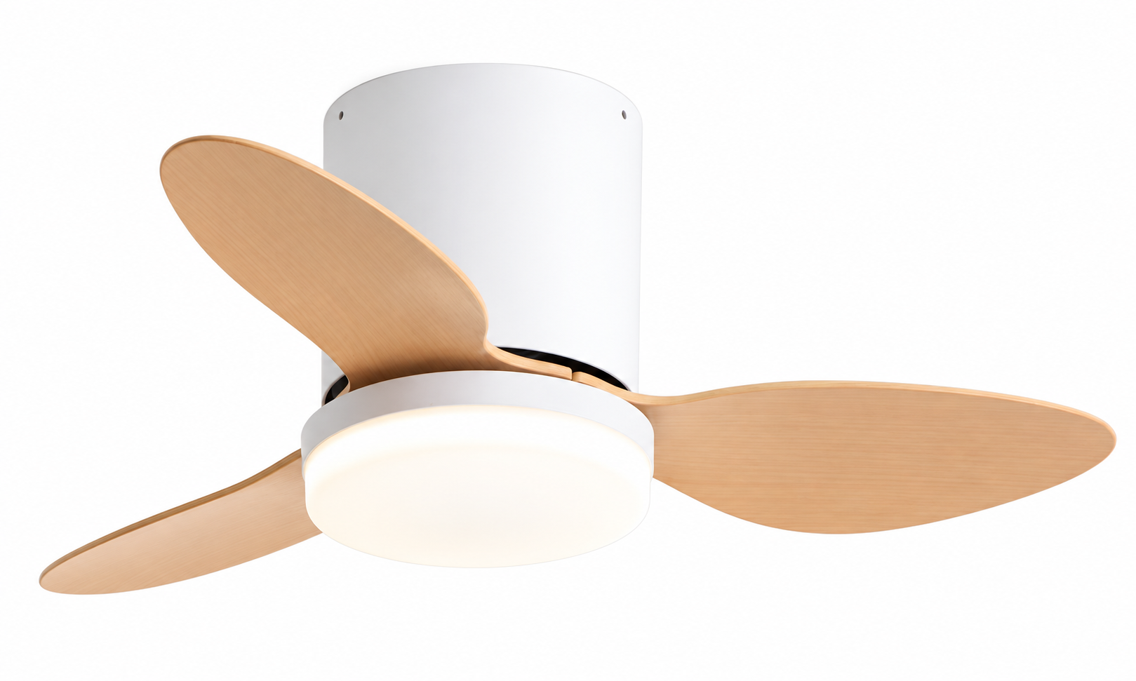 25 inch P-5042XL-3 compact body and light design