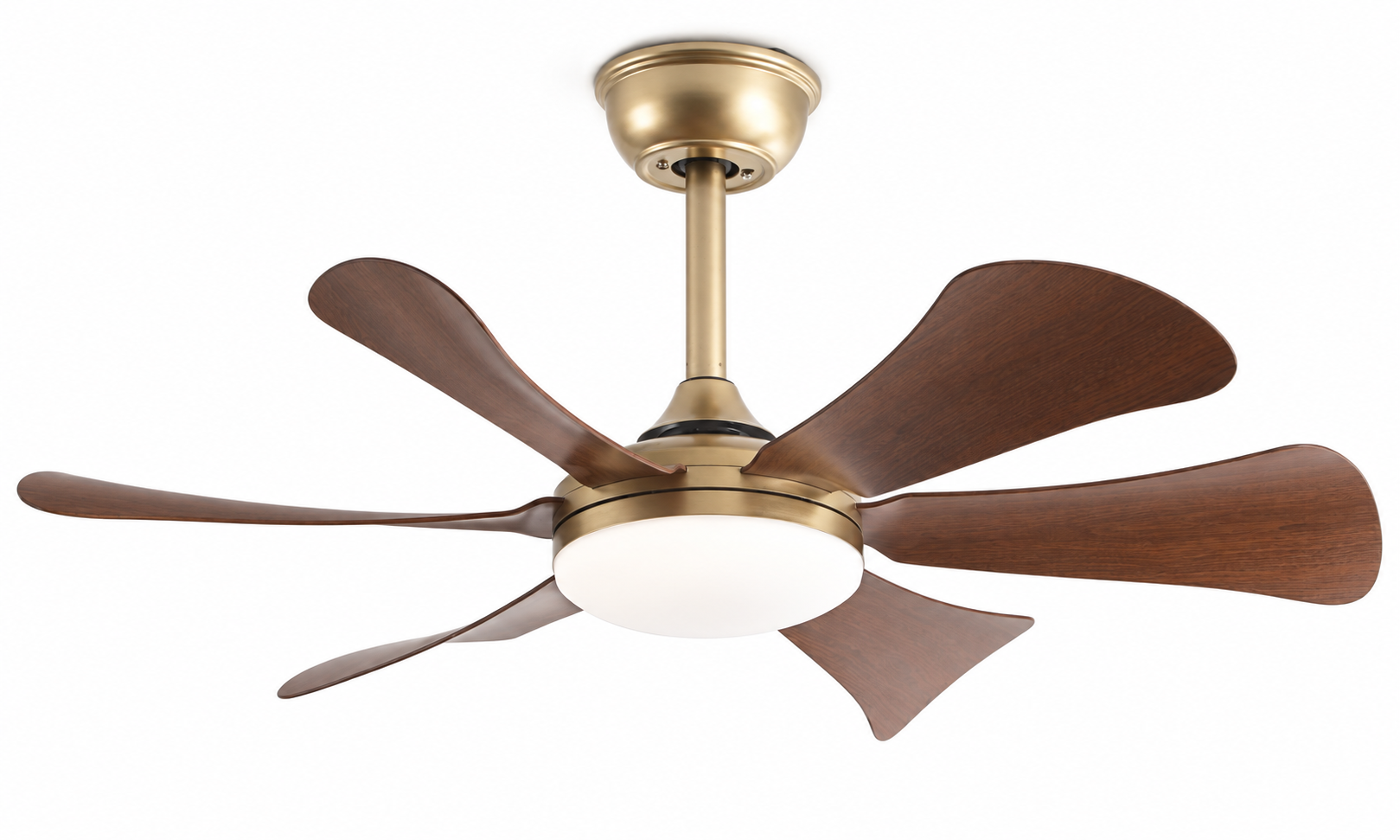 P-5053L-6 Antique Gold Walnut finish