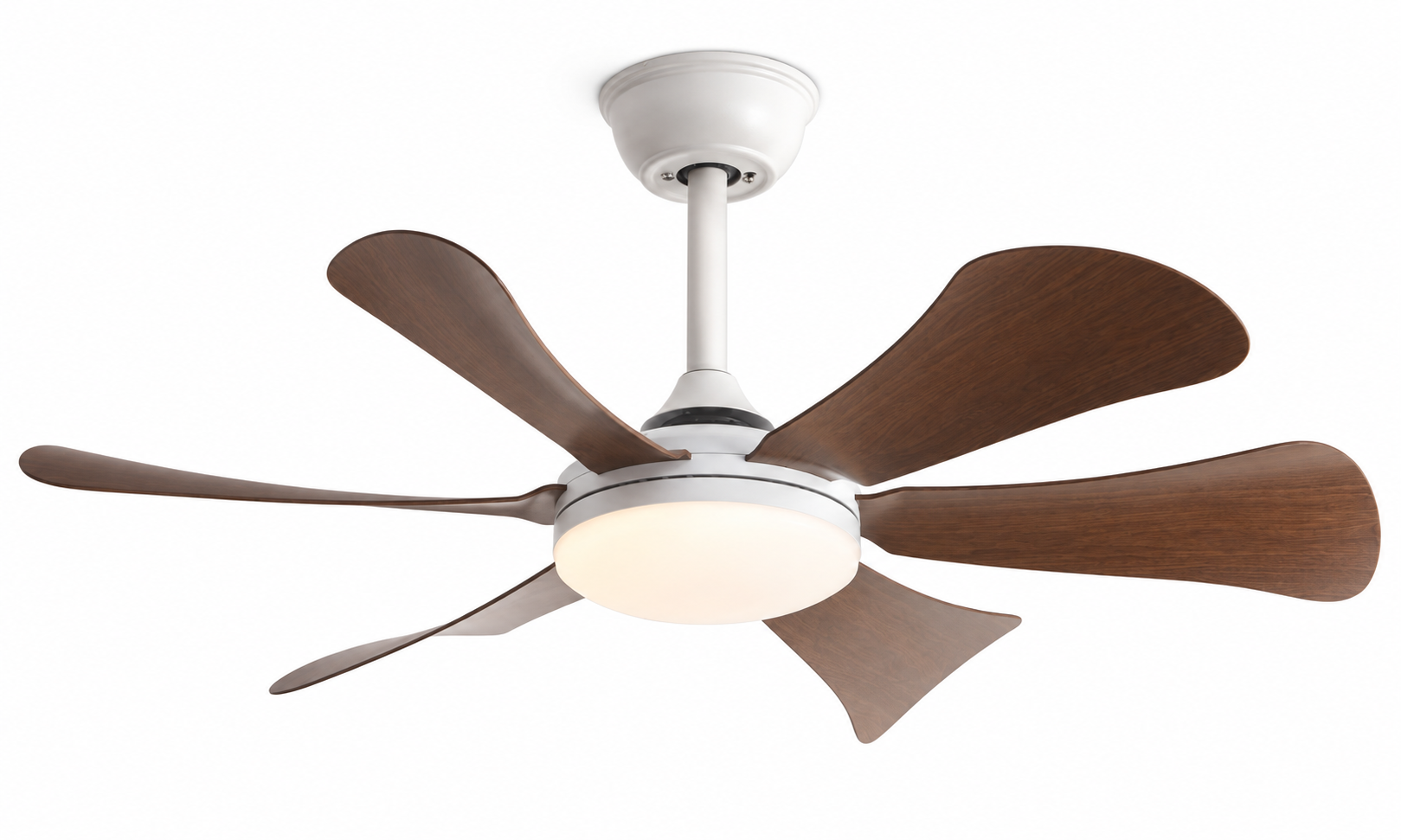 P-5053L-6 White Walnut finish