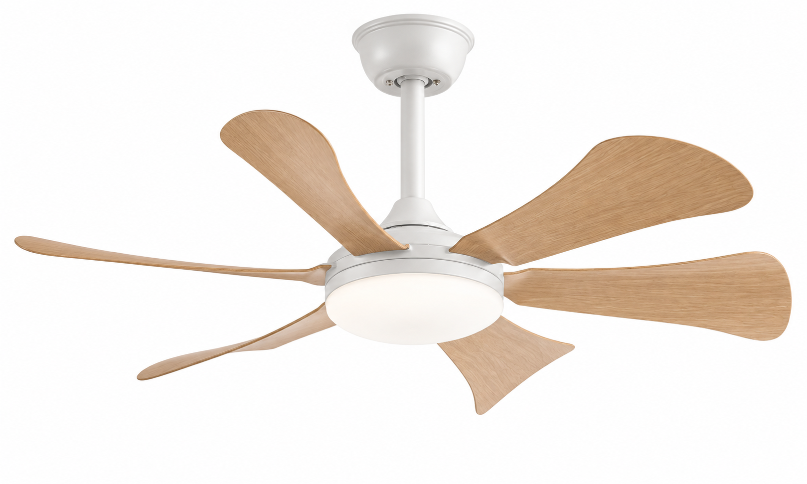 P-5053L-6 36 inch six-blade downrod ceiling fan with light